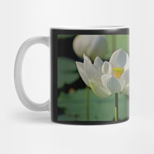 LOTUS OF THE ORIENT Mug